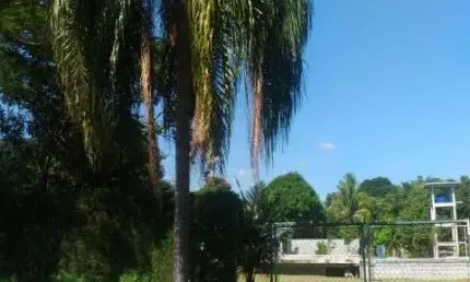 Linda chácara no vale das laranjeiras, 3.000m², indaiatuba/sp.