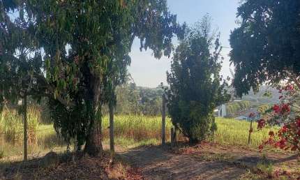 Oportunidade imperdível: Sítio à venda em Elias Fausto-SP, bairro Cardeal, 3 quartos, 1 sala, 2 banheiros, 8,30 alqueires de área!