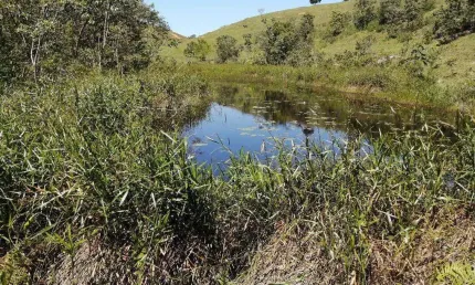 Fazenda à venda, 552000 m² por R$ 2.500.000,00 - Anchieta - Anchieta/ES