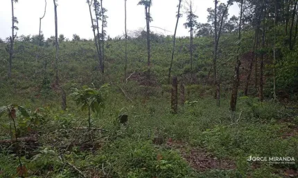 Chácara à venda, 1724 m² por R$ 250.000,00 - São João do Jaboti - Guarapari/ES