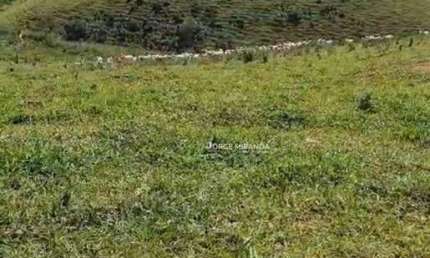 Fazenda à venda, 484 m² por R$ 3.200.000,00 - Zona Rural - Alfredo Chaves/ES