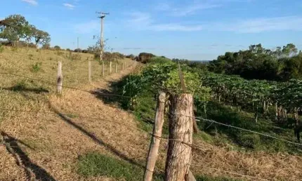 Fazenda à venda em Piramboia, Anhembi 