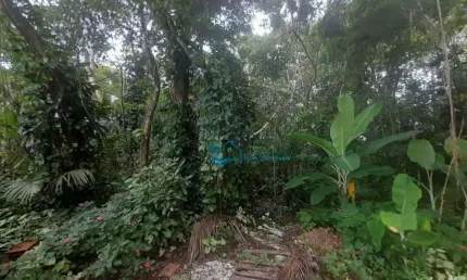 Terreno à venda, 835 m² por R$ 1.200.000,00 - Jardim  São Lourenço - Bertioga/SP