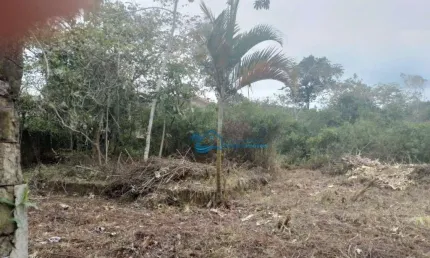 Terreno à venda, 705 m² por R$ 800.000,00 - Jardim  São Lourenço - Bertioga/SP