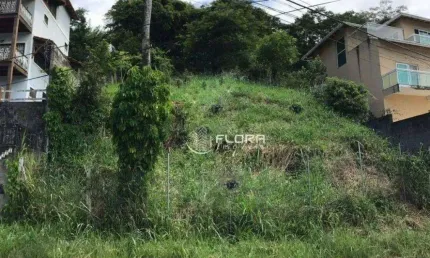 Terreno à venda, 750 m² por R$ 250.000,00 - Serra Grande - Niterói/RJ