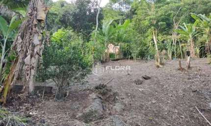 Terreno à venda, 670 m² por R$ 350.000,00 - Serra Grande - Niterói/RJ