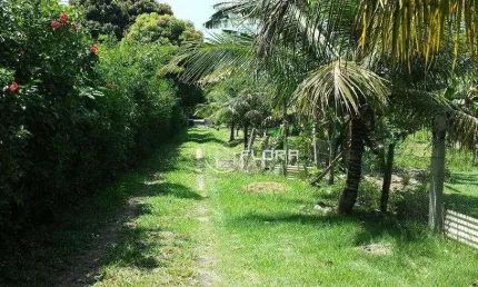 Sítio com 2 dormitórios à venda, 20000 m² por r$ 840.000,00 - manoel ribeiro (ponta negra) - maricá/rj