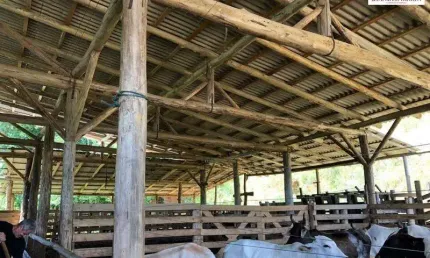 Chácara / sítio com 2 quartos à venda no Centro, Balneário Piçarras 