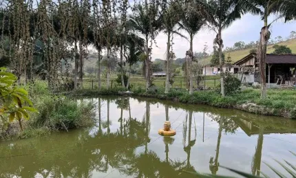 Sitio com ótimo acesso no bairro Escalvadinhos - Navegantes/SC