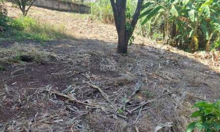 Terreno à venda na Avenida Professor Manoel José Pedroso, Parque Bahia, Cotia