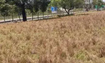 Área para Venda em São Roque, Jardim Cardoso (Mailasqui)