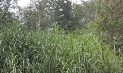 Terreno em condomínio para venda em jundiaí, loteamento capital ville