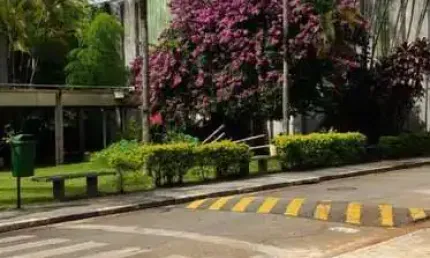 Barracão / Galpão / Depósito à venda na Rodovia Raposo Tavares, Sítio Boa Vista, Cotia
