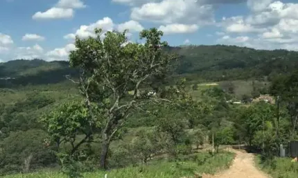 Terreno à venda na Avenida das Palmeiras, Portais (Polvilho), Cajamar