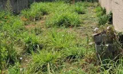 Terreno à venda na Rua dos Jatobás, 001, Portais (Polvilho), Cajamar