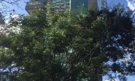 Prédio Comercial para Venda em Barueri, Green Valley Alphaville, 97 vagas