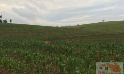 Fazenda à venda na Rua Ribeirão Bonito, Vila Moinho Velho, São Paulo