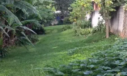Terreno à venda na rua ernest renam, 001, paraisópolis, são paulo por r$ 900.000