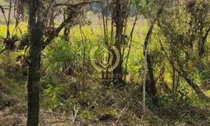 Chácara com aprox  23.880,00m² - Borda do Campo prox a Br.277 - São José dos Pinhais