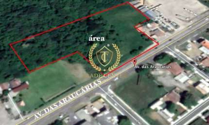 Terreno comercial à venda na Avenida das Araucárias, --, Thomaz Coelho, Araucária