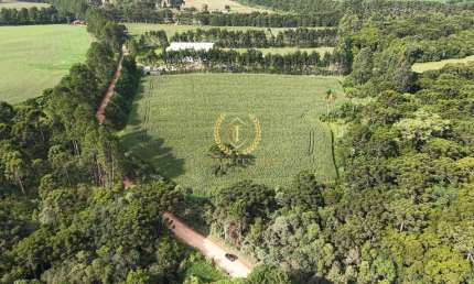 Terreno à venda na Rua Pedro Buhrer, --, Campo Largo da Roseira, São José dos Pinhais