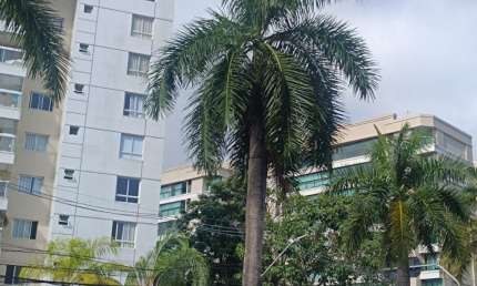 Apartamento com 2 quartos para alugar na Avenida Alphaville, Alphaville I, Salvador