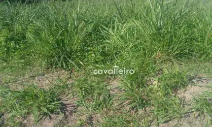 Terreno à venda, 360 m² por r$ 180.000,00 - centro - maricá/rj