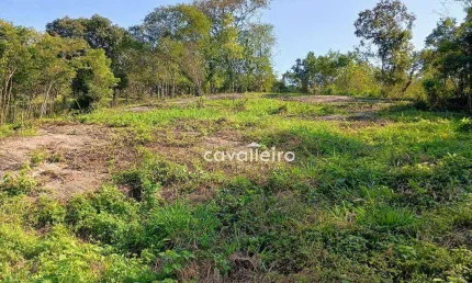 Área com 2797 m², Com Projeto Aprovado Para Construção, `a venda por R$ 650.000 - Itaocaia Valley (Itaipuaçu) - Maricá/RJ