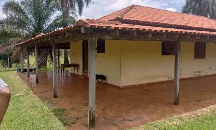 FAZENDA DUPLA APTIDÃO COM AMENDOIM COM 40 ALQUEIRES PAULISTAS EM MACAUBAL - SP