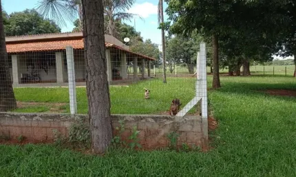 FAZENDA COM 46,6 ALQUEIRES DUPLA APTIDÃO EM COMENDADOR GOMES-MG
