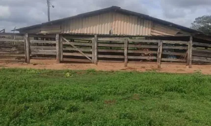 FAZENDA DUPLA APTIDÃO COM 39 ALQUEIRES PAULISTAS EM VOTUPORANGA - SP