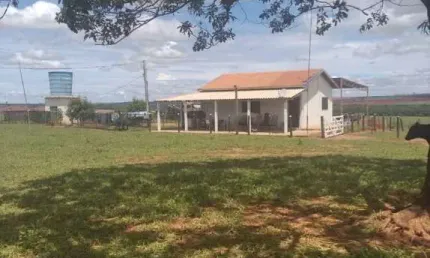 FAZENDA PARA AGRICULTURA EM AMENDOIM COM 84,5 ALQUEIRES PAULISTAS EM JUNQUEIRÓPOLIS - SP