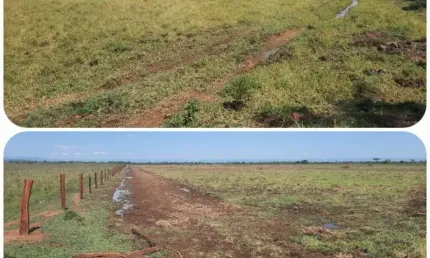 FAZENDA PARA PECUÁRIA COM 130 ALQUEIRES EM FORMOSA - GO