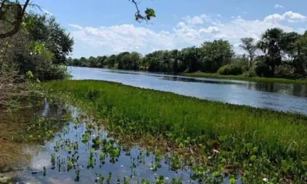 FAZENDA COM VEGETAÇÃO NATIVA DUPLA APTIDÃO COM 6.900 HECTARES EM SANTA RITA DE CÁSSIA - BA