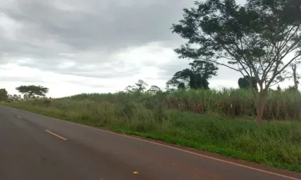 Fazenda com 40,22 alqueires paulistas para agricultura em cana no município de palestina - sp