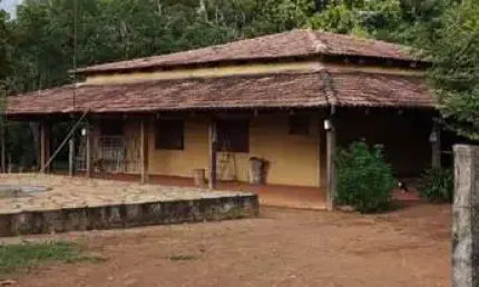 Fazenda com 300 alqueires dupla aptidão em bom jesus do tocantins - to