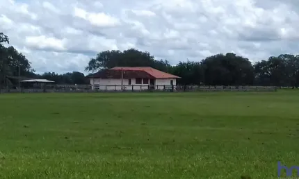 Fazenda dupla aptidão com 40.600 hectares em pium - to