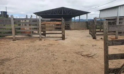 FAZENDA DUPLA APTIDÃO COM 150 HECTARES EM POUSO ALEGRE - MG