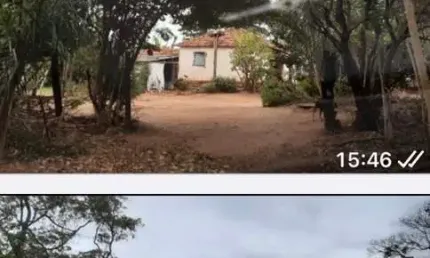 SÍTIO DUPLA APTIDÃO COM 10,5 ALQUEIRES PAULISTAS EM MACAUBAL - SP COM SERINGUEIRAS