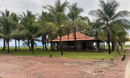 Fazenda com 5.600 hectares para agricultura em santa quitéria do maranhão - ma