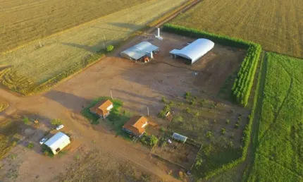 FAZENDA DUPLA APTIDÃO COM 4.600 HECTARES EM GAÚCHA DO NORTE - MT