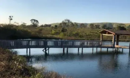 Fazenda para pecuária com 600 alqueires em tucumã - pa