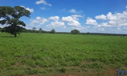 Fazenda dupla aptidão com 230 alqueires em marianópolis do tocantins - to  no vale do araguaia