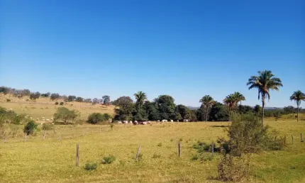 Fazenda dupla aptidão com 183 alqueires em caldas novas - go