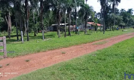 Fazenda com 81 alqueires para pecuária no município de bom jardim de goiás - go