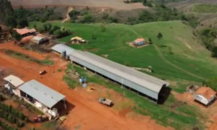 FAZENDA DUPLA APTIDÃO COM 140 ALQUEIRES PAULISTAS  NO MUNICÍPIO DE SÃO ROQUE DE MINAS - MG