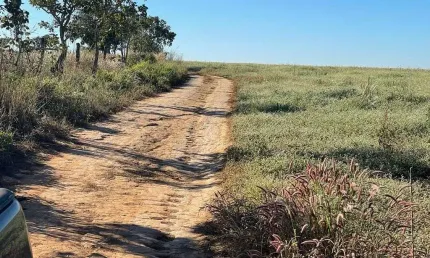 Fazenda para agricultura com 45 alqueires em ipameri - go