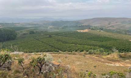 FAZENDA COM 10 ALQUEIRES PAULISTAS PARA AGRICULTURA EM CAFÉ EM CAPITÓLIO - MG