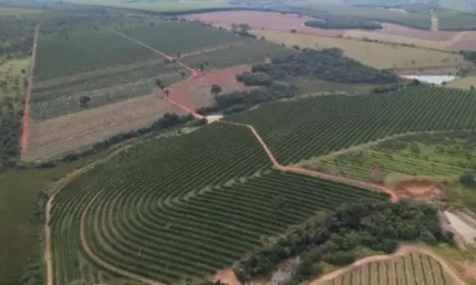 FAZENDA PARA AGRICULTURA EM LARANJA COM 170 ALQUEIRES PAULISTAS EM ANGATUBA - SP