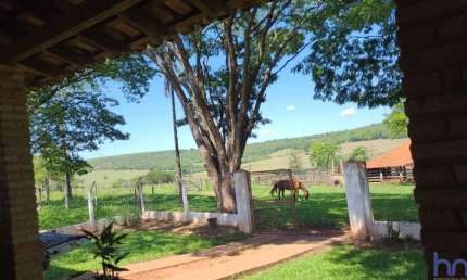 FAZENDA DUPLA APTIDÃO COM 72 ALQUEIRES EM CAMPO FLORIDO - MG